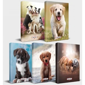 Halk Kitabevi Köpek Temalı Defter Seti 5'li