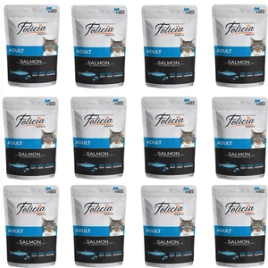 Tahılsız Somon Balıklı Yetişkin Kedi Yaş Maması 85 gr x 12 Adet