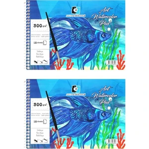 Alex Schoeller Art Spiralli Sulu Boya Defteri A4 300 gr 12 Yaprak 2'li