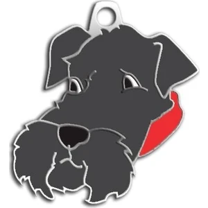 Schnauzer Köpek Künyesi