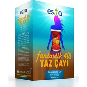 Fantastik Dörtlü Yaz 45 Poşet Çay