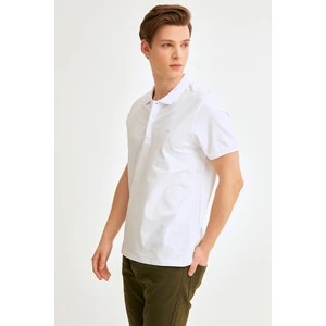 Polo Yaka Basic Tshirt