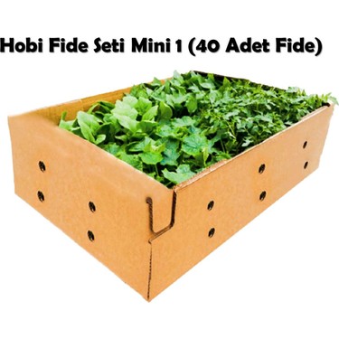 fide vadisi hobi fide seti mini 1 40 adet fide fiyati