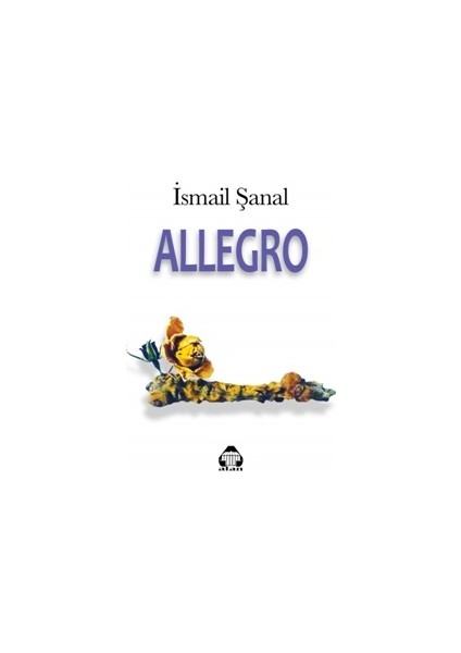 Allegro - İsmail Şanal