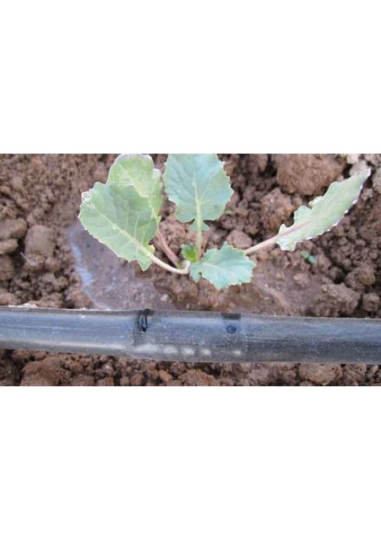 Damla Sulama Seti Delikli 16 mm 300 mt