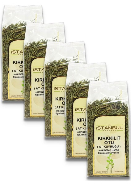 Istanbul Baharat Kırkkilit Otu (At Kuyruğu) 5 x 40 gr