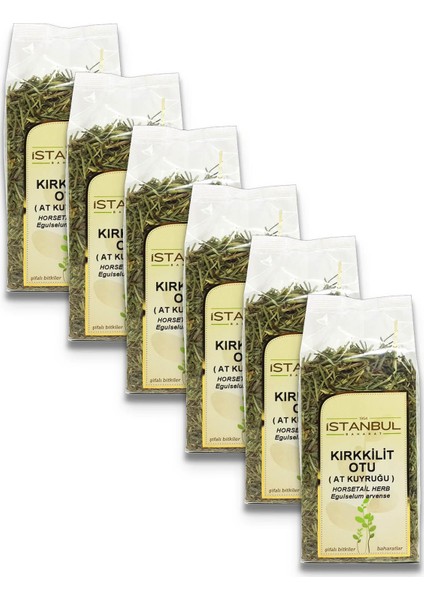 Istanbul Baharat Kırkkilit Otu (At Kuyruğu) 6 x 40 gr