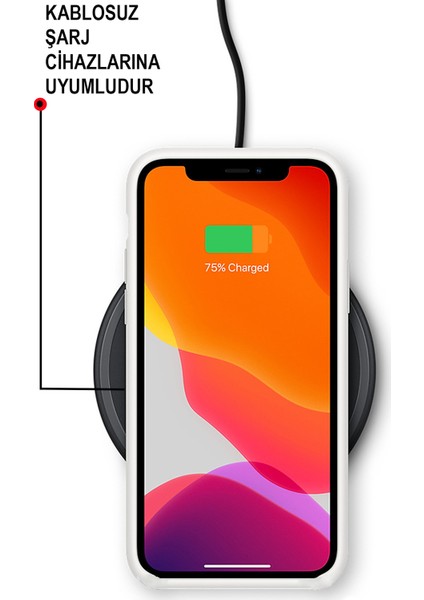 Case World Apple iPhone 11 Pro Silikon Kılıf Altı Kapalı Içi Kadife Lansman Silikon Kılıf Turuncu