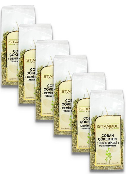 Istanbul Baharat Çoban Çökerten (Demir Dikeni) 6 x 70 gr