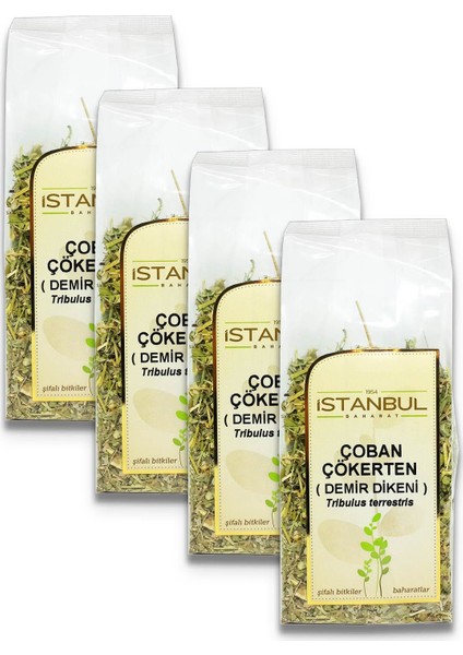 Istanbul Baharat Çoban Çökerten (Demir Dikeni) 4 x 70 gr