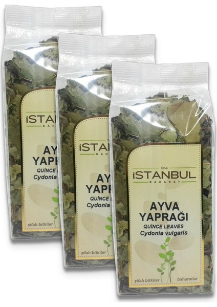 Istanbul Baharat Ayva Yaprağı 3 x 40 gr