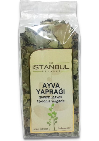 Istanbul Baharat Ayva Yaprağı 3 x 40 gr