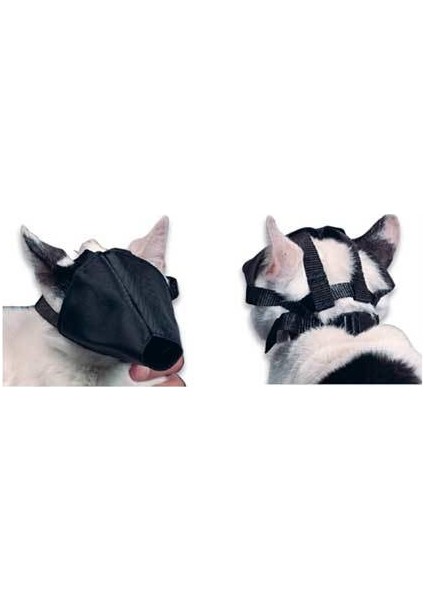Kedi Ağızlığı Nalyon