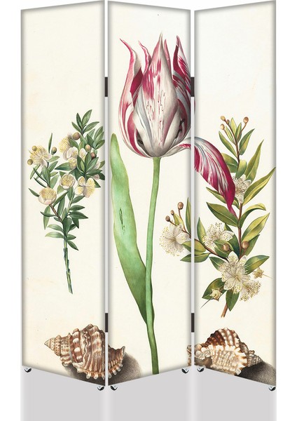 Lale 3 Kanat Tekerlekli Kanvas Paravan