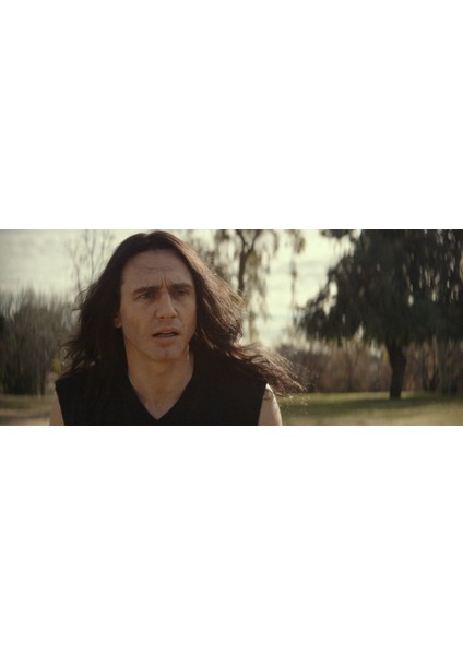 Felaket Sanatçı / The Disaster Artist - DVD