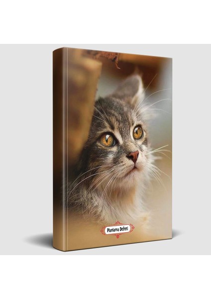 Halk Kitabevi Minik Kedi Süresiz Planlama Defteri