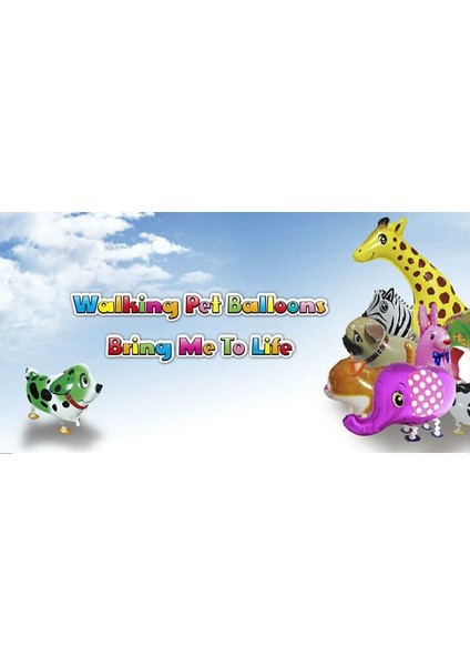 Folyo Balon Zebra Parti Süsleme Doğumgünüoyuncak modelleri