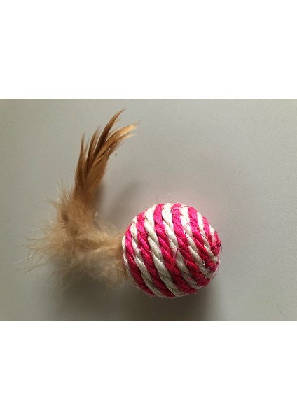 Kedi Köpek Tüylü Oyun Topu -