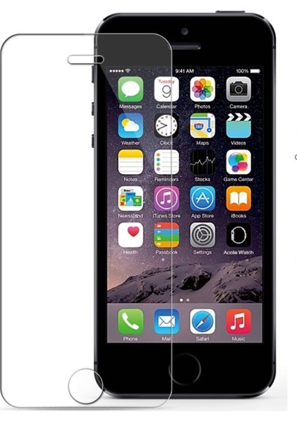 Apple iPhone 5 Nano Ekran Koruyucu Cam Micro Glass