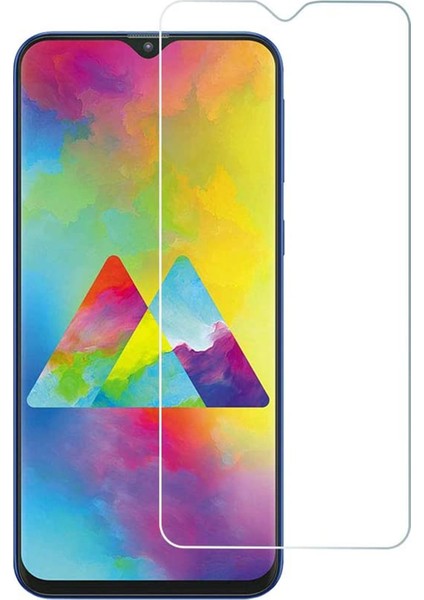 Samsung Galaxy M20 M205 Nano Ekran Koruyucu Cam Micro Glass