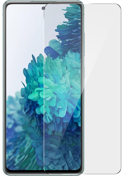 Samsung Galaxy S20 Fe Nano Ekran Koruyucu Cam Micro Glass