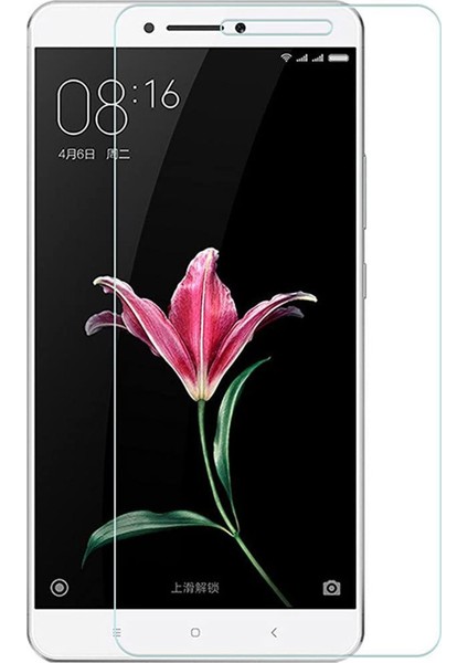 Xiaomi Mi Max 2 Nano Ekran Koruyucu Cam Micro Glass