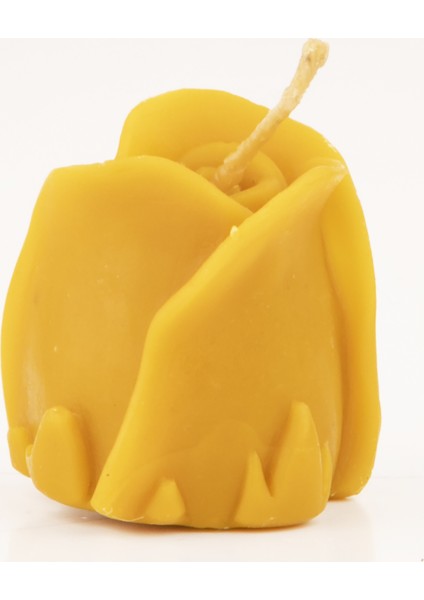 Bal Mumu Mum - Gonca Gül