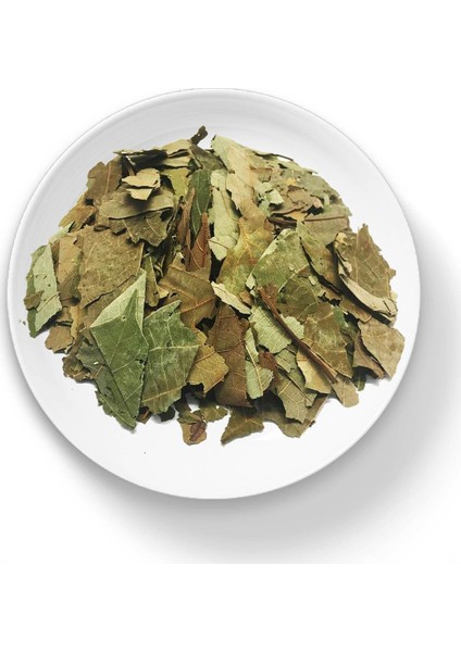 Istanbul Baharat Avokado Yaprağı 4 x 50 gr