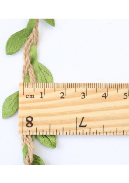 Hasır İpli Yaprak Şerit 10 Metre