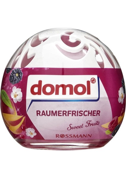 Oda Kokusu Küresi 100 ml Meyve