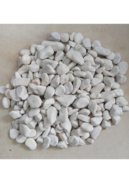 Akvaryum Dekor Taşı 3 kg