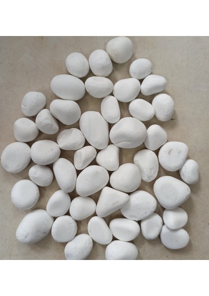 Akvaryum Dekor Taşı 5-7cm 3 kg