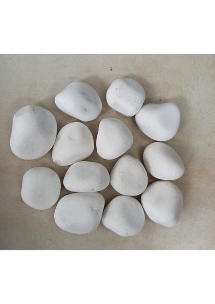 Akvaryum Dekor Taşı 8-10 cm 3 kg