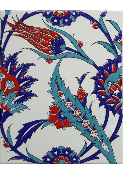 Can Seramik  20*25 Cm CÇ313 Iznik Çini Karo  5' Li 1 Paket