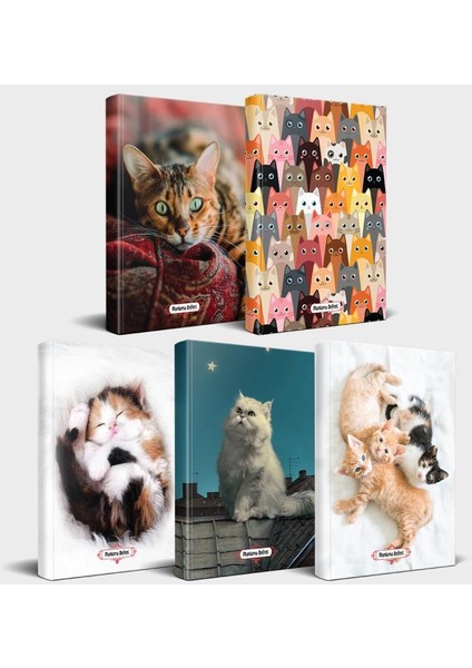 Kedili Defter Seti - 5 Defter V1