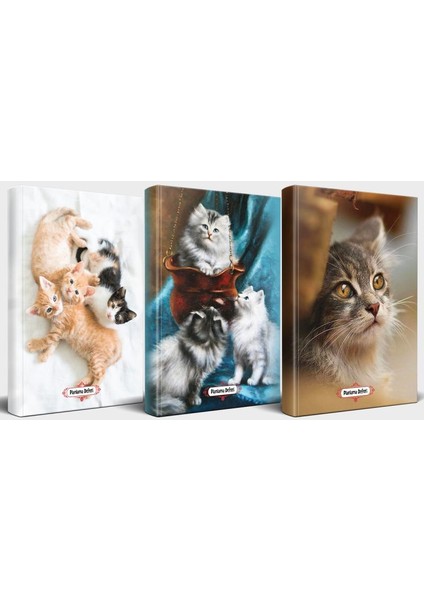 Kedili Defter Seti - 3 Defter V2