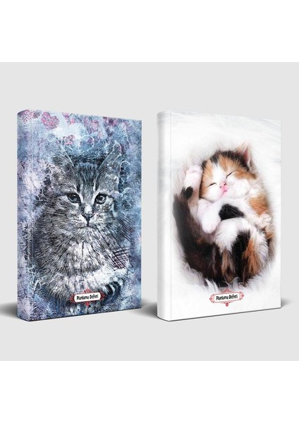 Asil Kedi ve Uykucu Kedi Planlama Defteri