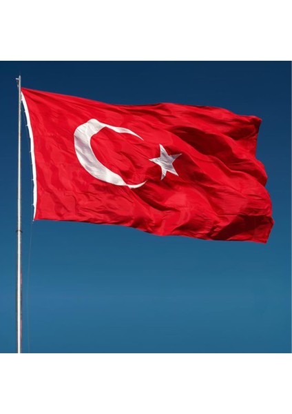Türk Bayrağı Raşel Kumaş Sopalı 5'li 30 x 45 cm
