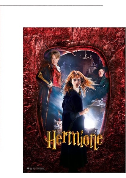 Wizarding World Poster - Hogwarts Karakter Hermione B.