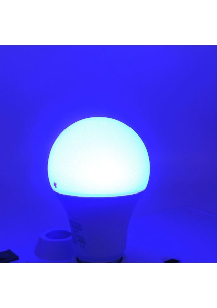 Uzaktan Kumandalı Rgb LED Ampul 9 Watt E27 Tasarruflu 16 Ton Işık