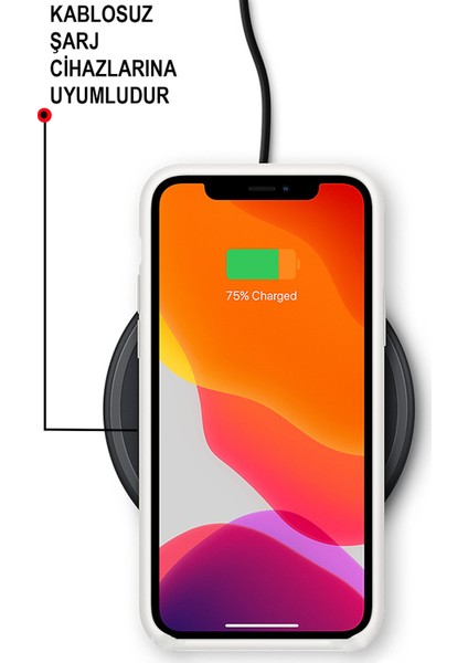 Apple iPhone 11 Pro Kılıf Altı Kapalı Içi Kadife Lansman Silikon Arka Kapak - Siyah