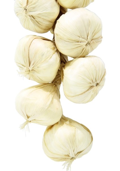 Yapay Sarımsak 12 Li fiyatları