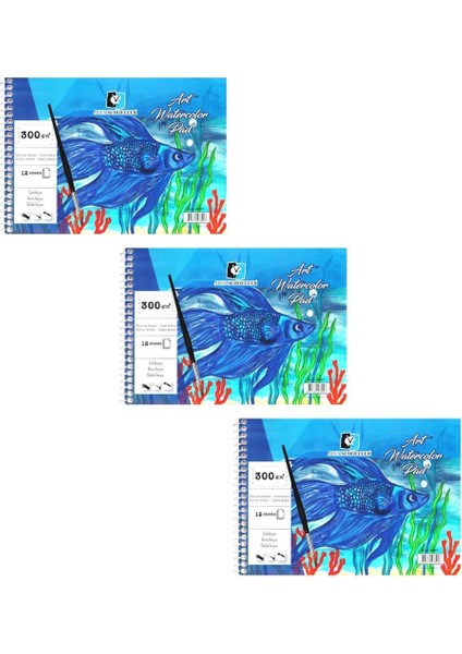 Art Spiralli Sulu Boya Defteri A4 300 gr 12 Yaprak 3'lü
