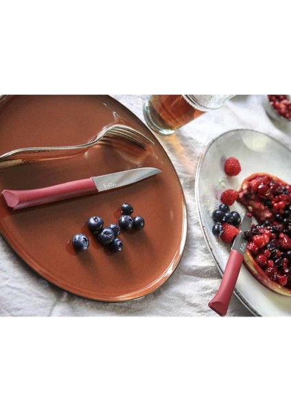 Bon Appetit Plus Paslanmaz Sofra Bıçağı (Bordo)