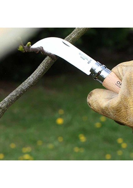 No 10 Inox Kayın Saplı Paslanmaz Çelik Bag Çakısı fiyatları