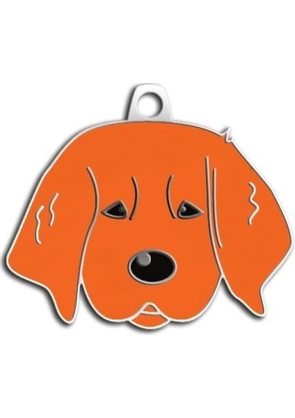 Yavru Golden Köpek Künyesi (Kizil)