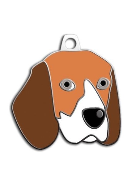 Beagle Köpek Künyesi