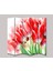 Kırmızı Laleler 5 Kanat Tekerlekli Kanvas Paravan 1