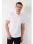 % 100 Pamuk Düğmeli Polo T Shirt Erkek POLO 5902127 1
