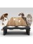 Küçük ve Orta Irk Köpek Ergonomik Mama-Su Kabı 2